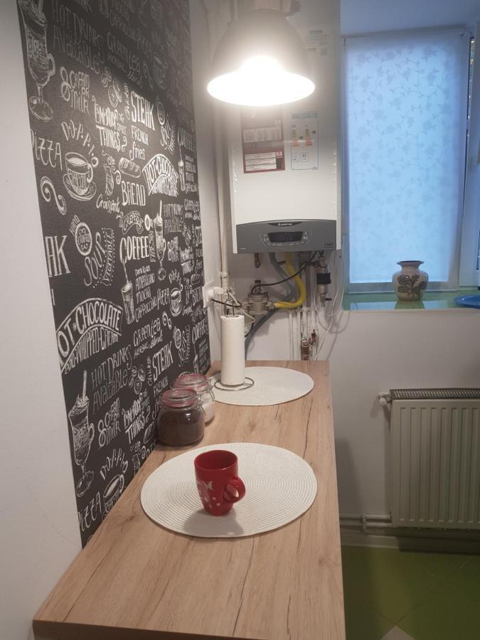 Ferienwohnung Apartament Simona Brașov Exterior foto